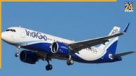 IndiGo wants more time from DGCA