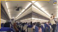 Pigeon enters Indigo flight right before take off