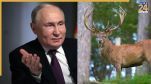 Putin's 'blood bath' secret: Is deer blood Russian president's hidden fuel behind fitness? Details inside