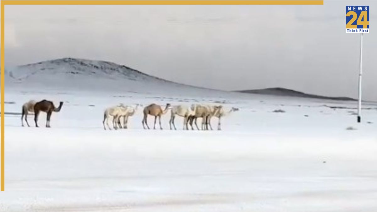 Snowfall In Saudi Arabia’s Al-Jawf for first time ever: Is it linked to the Prophet’s Mohammad’s Qayamat signs?